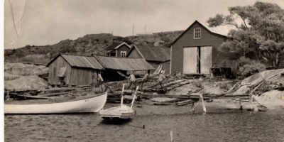 Fra det gamle båtbyggeriet på Kjellvika. Til venstre ligger den hvite snekka "Bølgen" som i dag står på Kystmuseet. Foto utlånt av Thor Ivar Olsen.