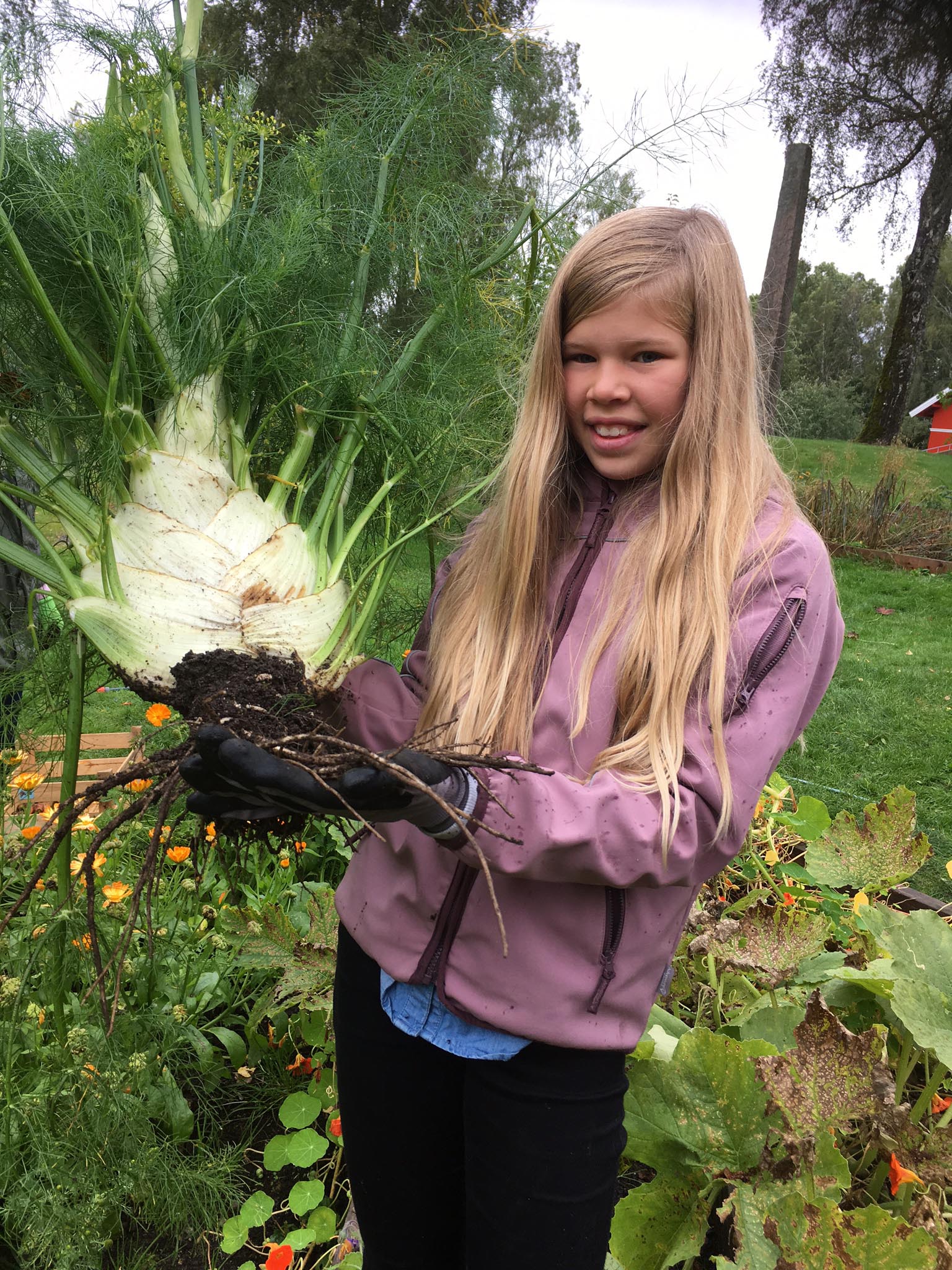 portrett av ung jente med stor fennikel i hendene. Bak skimtes kjøkkenhage og grøntområde. Helt bakerst en bauta