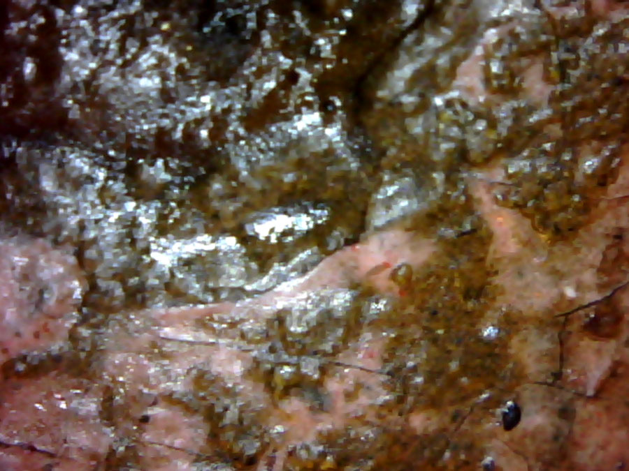 Et lag med brun skitt ligger over polykromi og udekket treverk. (Fotografert med usb-mikroskop ca. 30X forstørrelse/Kristine Draugedalen)